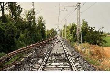 Obbligo di taglio rami e di pulizia delle aree verdi nei terreni privati che confinano con la rete ferroviaria