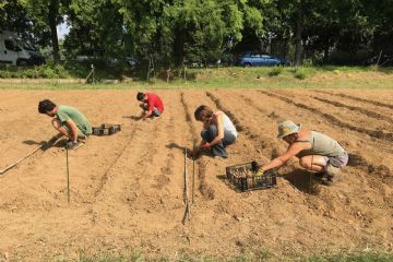 Esperienze di agricoltura sociale: focus sul progetto Gerla 2.0