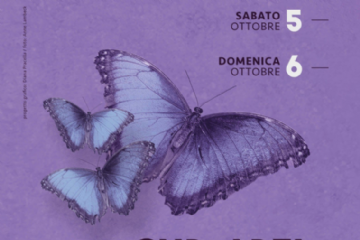 locandina CUR - ARTI farfalle