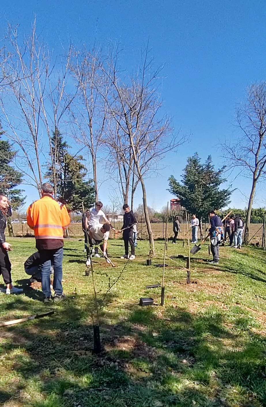 Studenti del liceo Majorana impegnati nel marzo scorso con Forestami al Parco della legalità vicino alla scuola superiore.