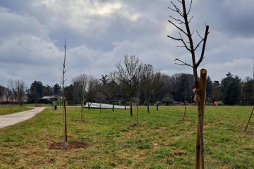 parco con nuove piantumazioni