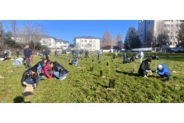 Forestami a Rho per un nuovo bosco nella frazione di Passirana