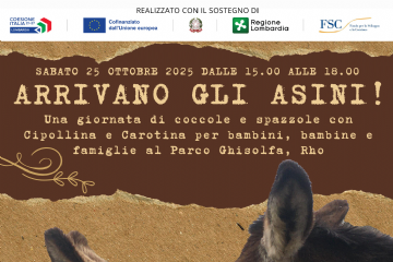 Arrivano gli asini! due asinelli uno di fronte all'altro