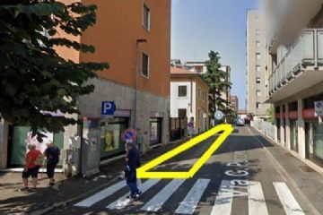 Cedro da abbattere, deviazioni del TPL il 24 giugno