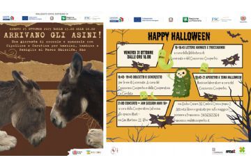 Due eventi e due locandine Titolo Arrivano gli asini! e Happy Alloween